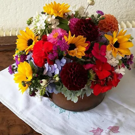 Unterlettlhof Daire Saalfelden